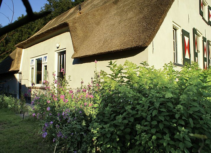 Unterkunft 570457 - Ferienhaus Utrechtse Heuvelrug - Hofstede Groot Blankenstein