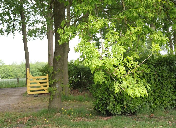 Unterkunft 570457 - Ferienhaus Utrechtse Heuvelrug - Hofstede Groot Blankenstein