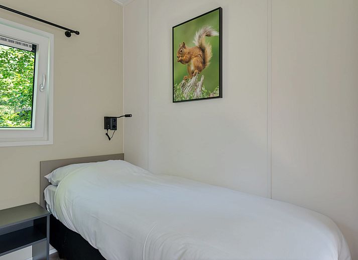 Veranda of Bungalow Noordhout in Doorn, ideal for outdoor dining on the Utrechtse Heuvelrug.