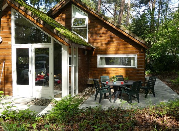 Guest house 570464 - Chalet Utrechtse Heuvelrug - Solange 