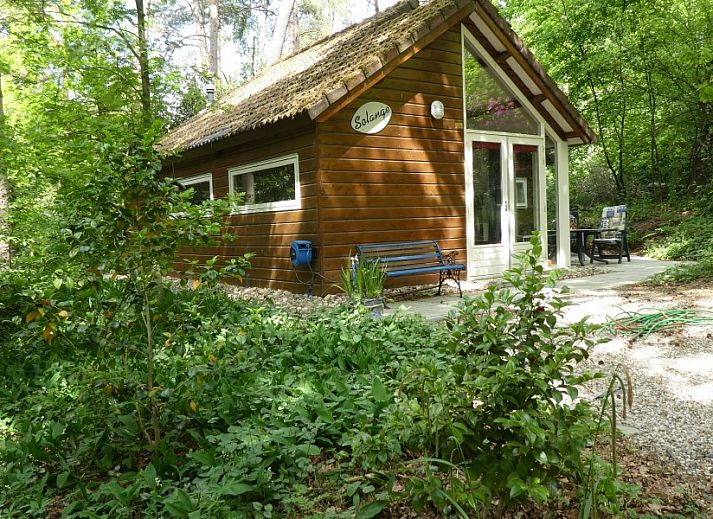 Guest house 570464 - Chalet Utrechtse Heuvelrug - Solange 