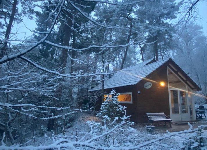 Guest house 570464 - Chalet Utrechtse Heuvelrug - Solange 