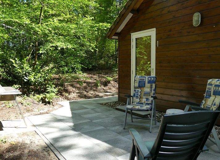 Guest house 570464 - Chalet Utrechtse Heuvelrug - Solange 