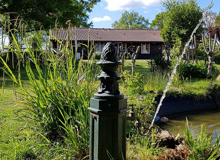 Guest house 570602 - Holiday property Utrechtse Heuvelrug - Arendsnest