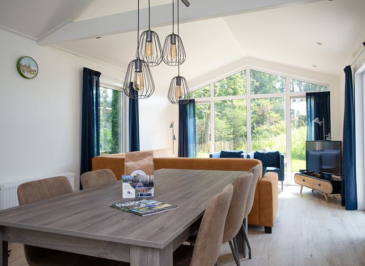 Binnenruimte van Vakantiehuis De Thijmse Berg in Rhenen met een stijlvolle woonkamer en veel natuurlijk licht.