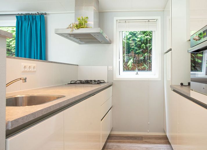 Binnenruimte van Vakantiehuis De Thijmse Berg in Rhenen met een stijlvolle woonkamer en veel natuurlijk licht.