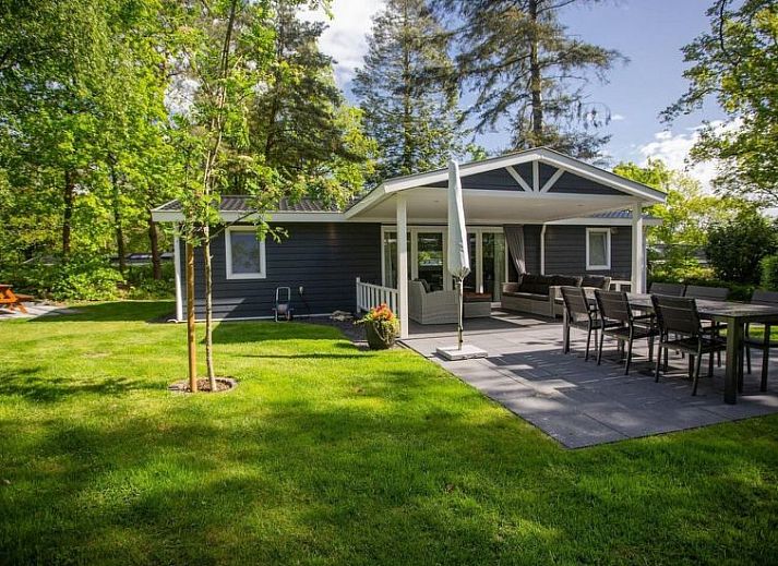 Zwembad bij Vakantiehuis De Thijmse Berg in Rhenen, Utrechtse Heuvelrug, perfect voor verkoeling en plezier.