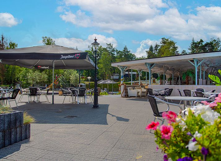 Zwembad bij Vakantiehuis De Thijmse Berg in Rhenen, Utrechtse Heuvelrug, perfect voor verkoeling en plezier.