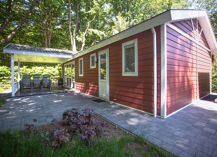 Zwembad bij Vakantiehuis De Thijmse Berg in Rhenen, Utrechtse Heuvelrug, perfect voor verkoeling en plezier.