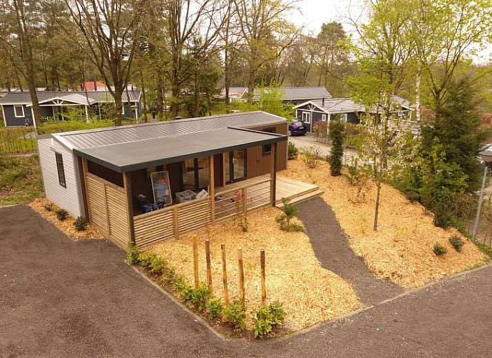 Guest house 570722 - Holiday property Utrechtse Heuvelrug - Vakantiehuis De Thijmse Berg