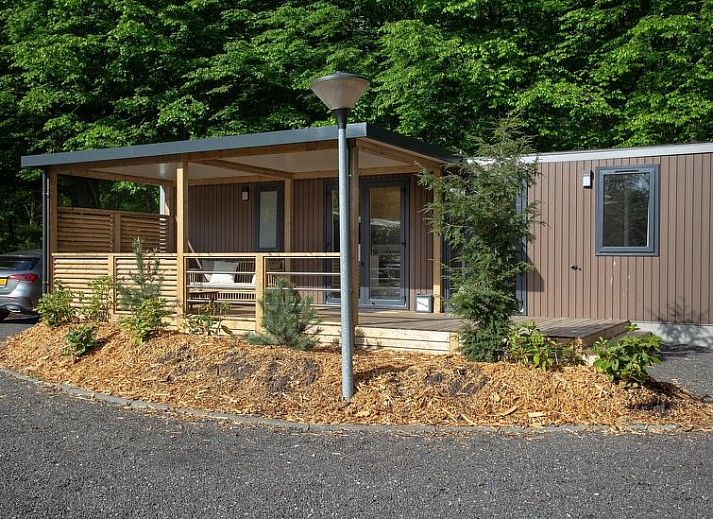 Guest house 570722 - Holiday property Utrechtse Heuvelrug - Vakantiehuis De Thijmse Berg