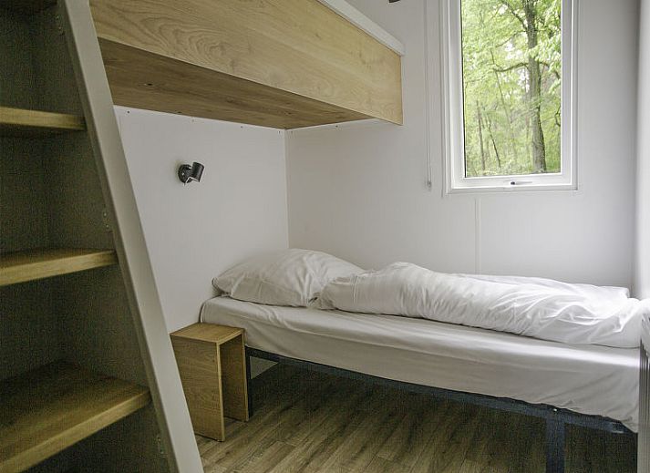 Guest house 570722 - Holiday property Utrechtse Heuvelrug - Vakantiehuis De Thijmse Berg