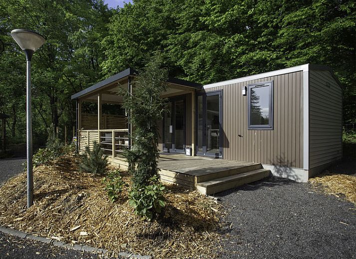 Guest house 570722 - Holiday property Utrechtse Heuvelrug - Vakantiehuis De Thijmse Berg