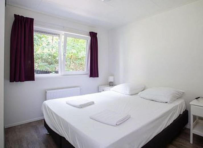 Guest house 570725 - Holiday property Utrechtse Heuvelrug - Vakantiehuis De Thijmse Berg