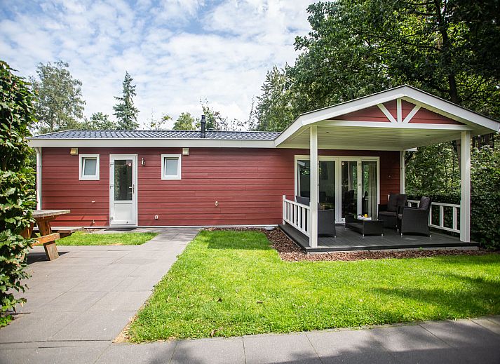 Outdoor pool at Holiday Home De Thijmse Berg in Rhenen, ideal for relaxation on the Utrecht Hill Ridge.