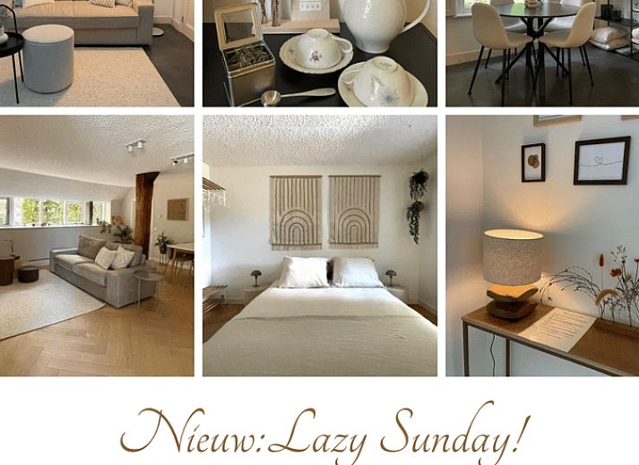 Guest house 570742 - Holiday property Utrechtse Heuvelrug - Vakantiehuisje in Rhenen