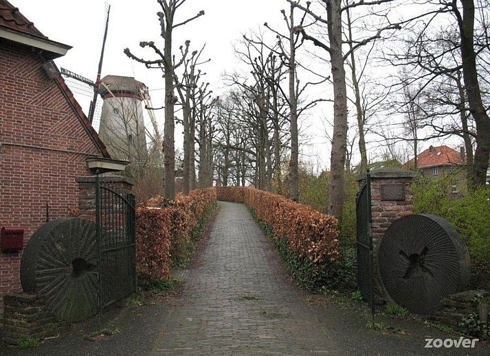 Unterkunft 570744 - Appartement Utrechtse Heuvelrug - Appartement in Rhenen bei Grebbeberg und Wald