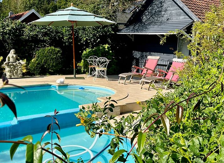 Guest house 570805 • Holiday property Utrechtse Heuvelrug • Vakantiehuisje in Den Dolder