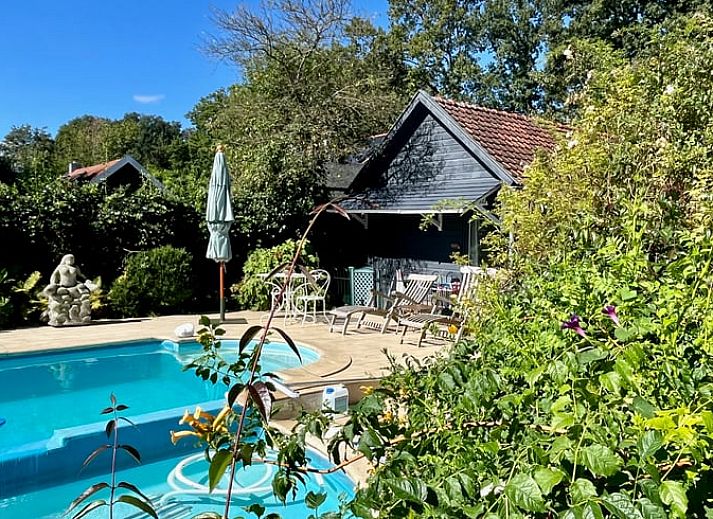 Unterkunft 570805 - Ferienhaus Utrechtse Heuvelrug - Vakantiehuisje in Den Dolder
