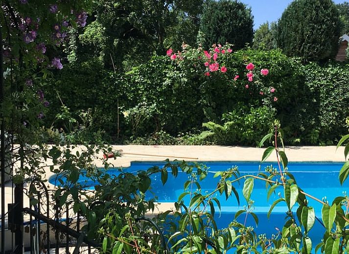 Unterkunft 570805 - Ferienhaus Utrechtse Heuvelrug - Vakantiehuisje in Den Dolder