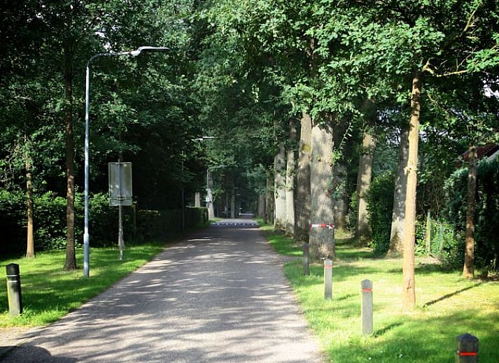 Unterkunft 570805 - Ferienhaus Utrechtse Heuvelrug - Vakantiehuisje in Den Dolder
