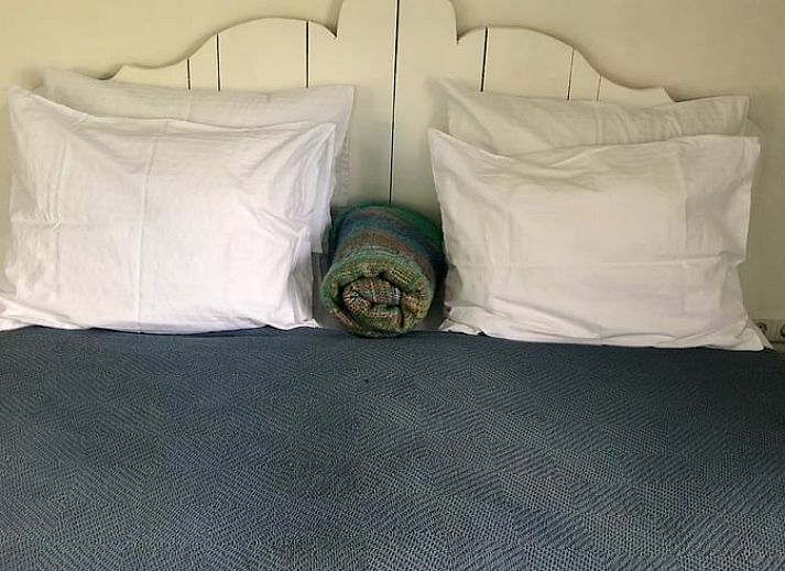 Unterkunft 570805 - Ferienhaus Utrechtse Heuvelrug - Vakantiehuisje in Den Dolder