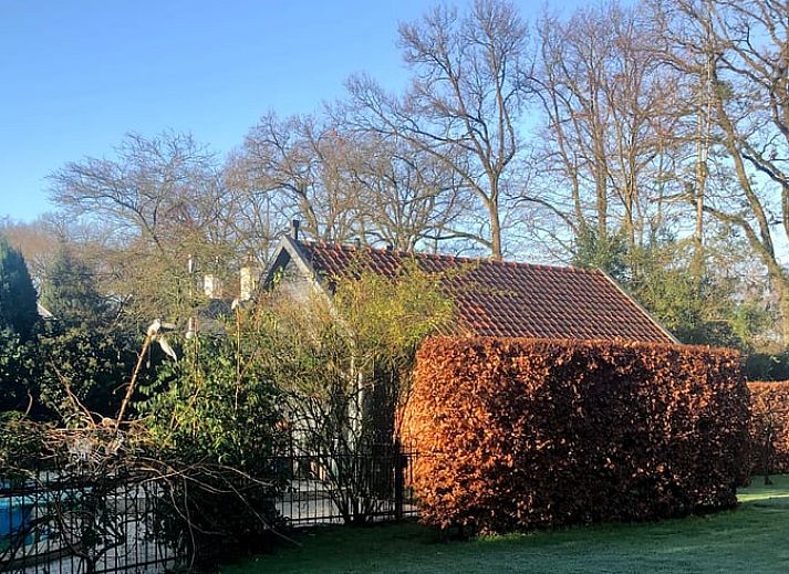 Unterkunft 570805 - Ferienhaus Utrechtse Heuvelrug - Vakantiehuisje in Den Dolder
