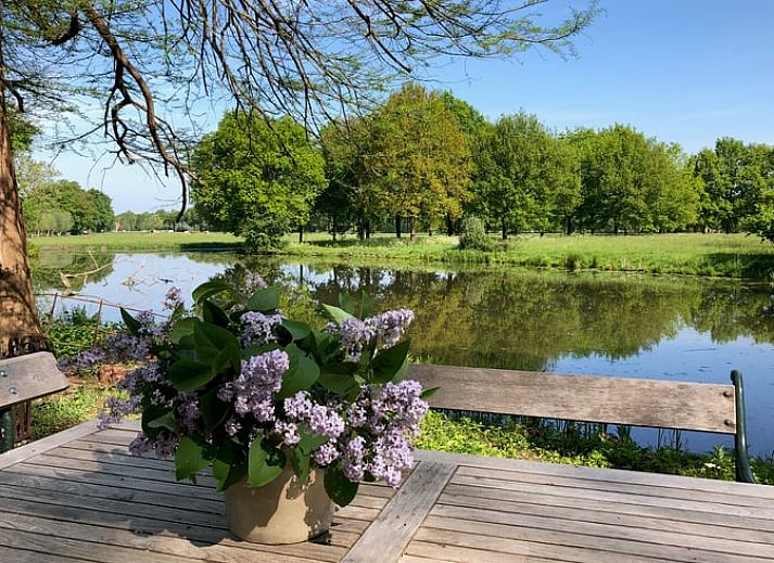 Vakantiehuisje in Driebergen-Rijsenburg, Utrechtse Heuvelrug, met historisch kasteeluitzicht.