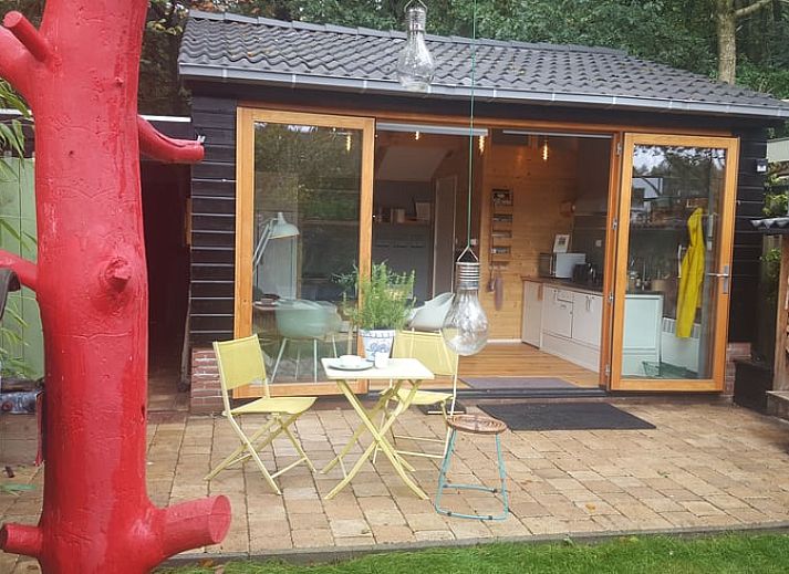 Gezellige tuin met terras bij Vakantiehuisje in Driebergen-Rijsenburg, Utrechtse Heuvelrug.