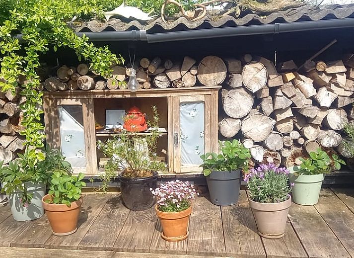 Gezellige tuin met terras bij Vakantiehuisje in Driebergen-Rijsenburg, Utrechtse Heuvelrug.