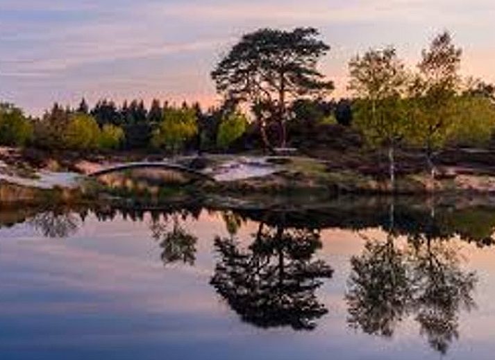 Veranda met zitplek bij Vakantiehuisje in Driebergen-Rijsenburg, Utrechtse Heuvelrug, Utrecht.
