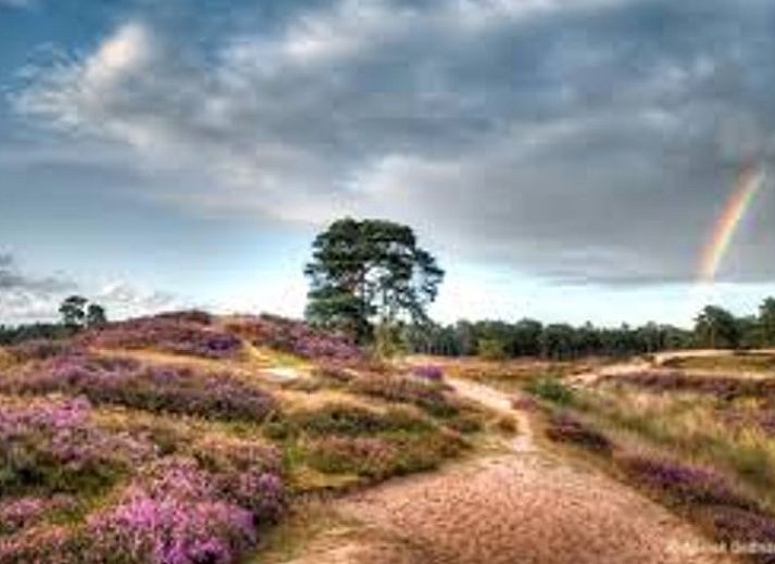 Veranda met zitplek bij Vakantiehuisje in Driebergen-Rijsenburg, Utrechtse Heuvelrug, Utrecht.