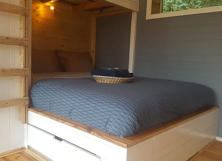 Knusse binnenruimte van Vakantiehuisje in Driebergen-Rijsenburg, Utrechtse Heuvelrug.