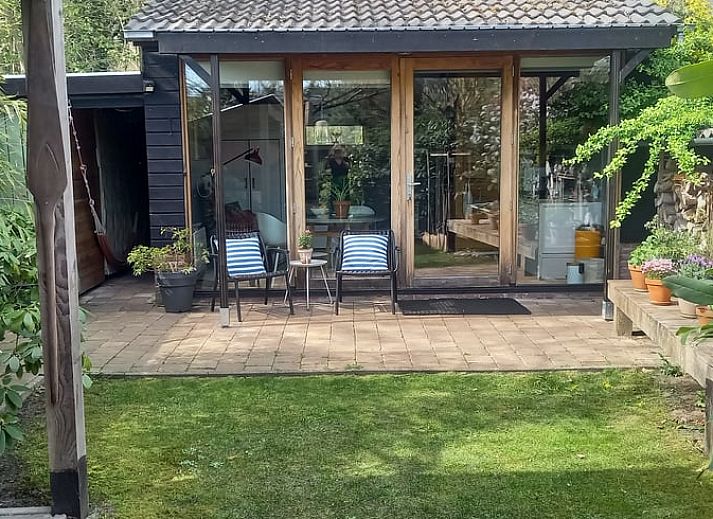 Houtopslag en planten bij Vakantiehuisje in Driebergen-Rijsenburg, Utrechtse Heuvelrug.