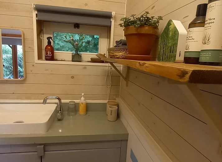 Schoene waldreiche Umgebung des Ferienhauses in Driebergen-Rijsenburg, Utrechtse Heuvelrug.