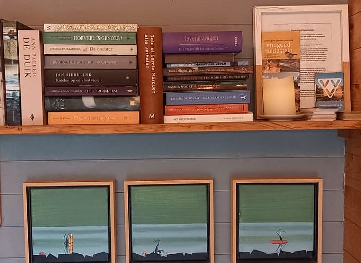 Schoene waldreiche Umgebung des Ferienhauses in Driebergen-Rijsenburg, Utrechtse Heuvelrug.