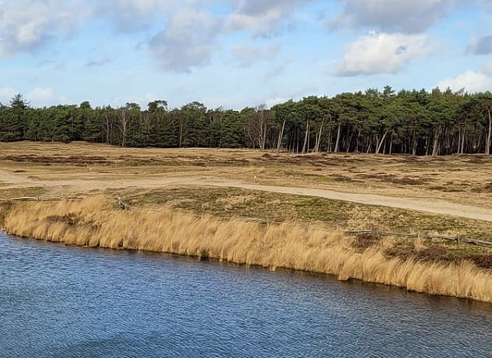 Schoene waldreiche Umgebung des Ferienhauses in Driebergen-Rijsenburg, Utrechtse Heuvelrug.