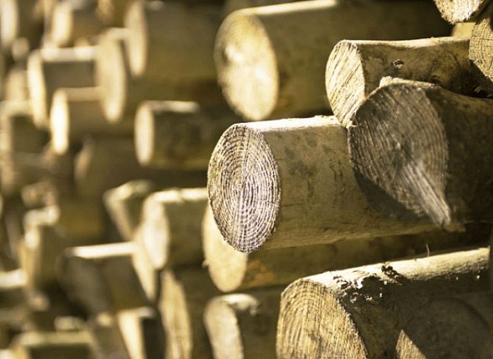 Guest house 571003 - Holiday property Utrechtse Heuvelrug - Vakantiehuisje in Driebergen