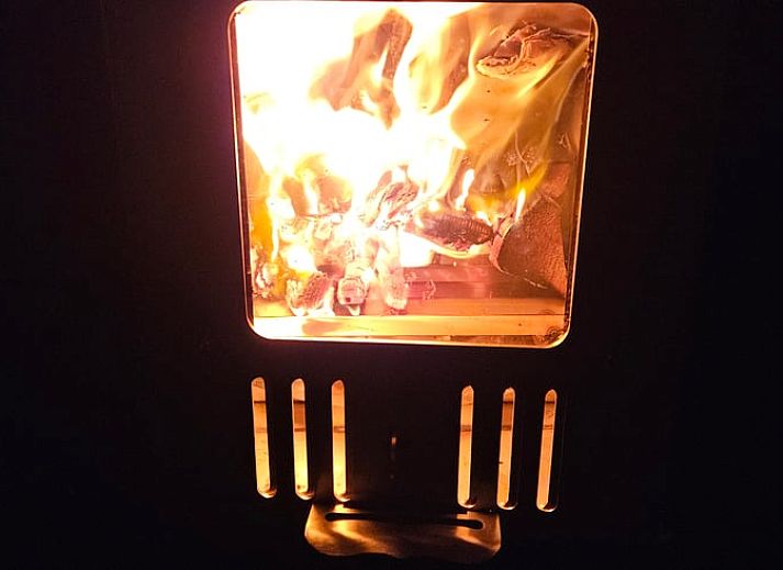 Geniet van de natuur rondom Vakantiehuis in Leersum, Utrechtse Heuvelrug, met uitgestrekte grasvelden en picknickplekken.