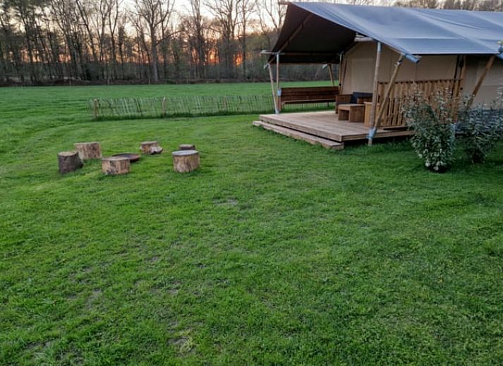 Geniet van de natuur rondom Vakantiehuis in Leersum, Utrechtse Heuvelrug, met uitgestrekte grasvelden en picknickplekken.