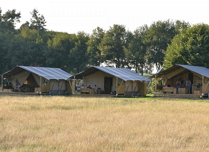 Verblijf 571112 • Tenthuis Utrechtse Heuvelrug • Safaritent + sanitair