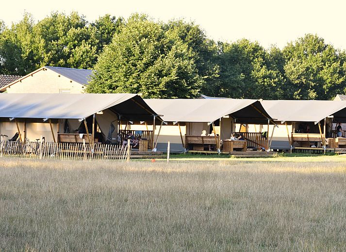 Verblijf 571112 - Tenthuis Utrechtse Heuvelrug - Safaritent + sanitair