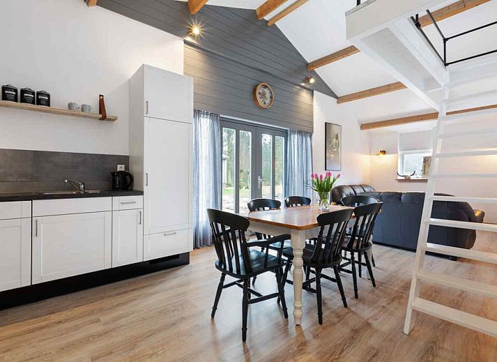 Moderne keuken in vakantiehuis UT037, Leersum, Utrechtse Heuvelrug.