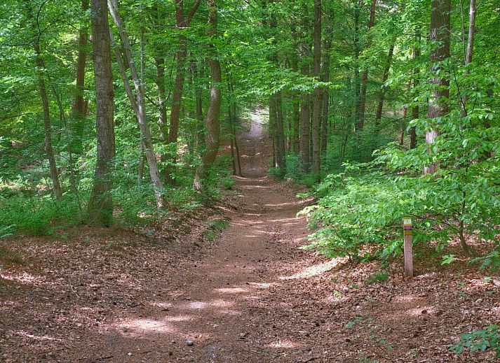 Ferienhaus UT040 in Leersum auf dem Utrechter Bergruecken mit gemuetlichem Garten und Terrasse.