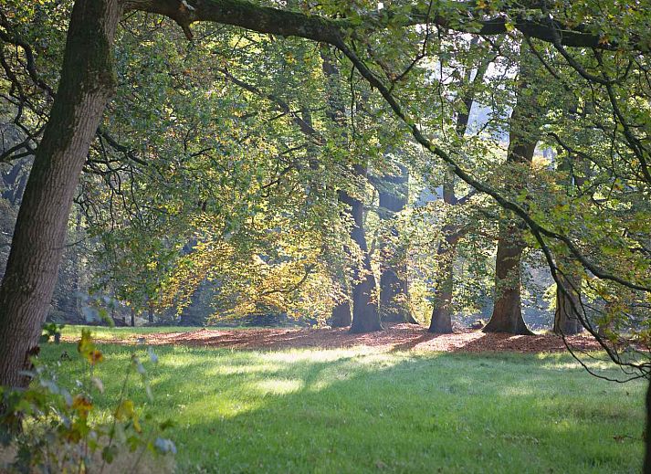 Radfahren im Ferienhaus UT040 in Leersum, ideal fuer Naturerlebnisse auf dem Utrechtse Heuvelrug.
