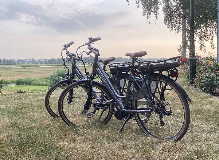 Schlafzimmer im Ferienhaus UT040 in Leersum mit ruhiger Einrichtung und Blick auf den Utrechtse Heuvelrug.