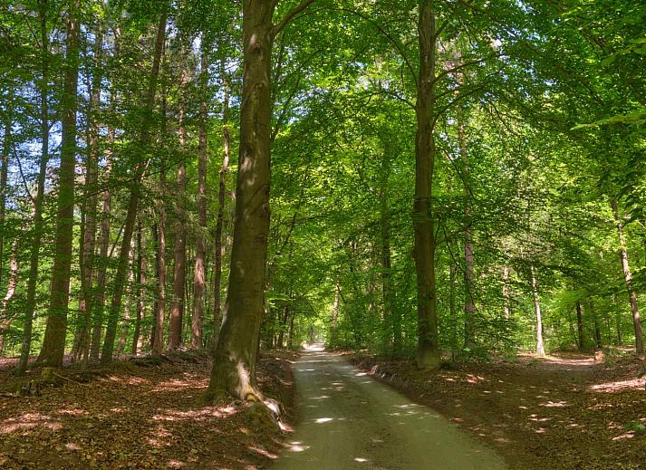 Vollstaendig ausgestattete Kueche des Ferienhauses UT040 in Leersum, Utrechtse Heuvelrug.