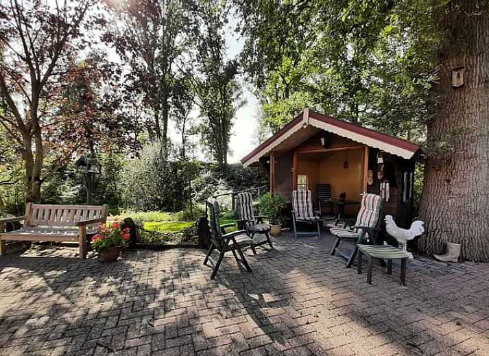 Weide met grazende koeien bij Vakantiehuis in Woudenberg, Utrechtse Heuvelrug.