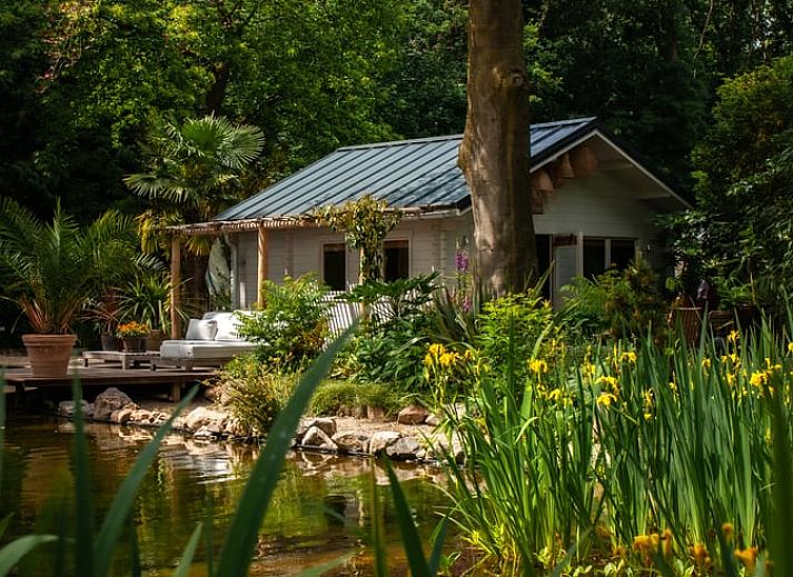 Waterval bij Huisje in Woudenberg, vakantiehuis in de Utrechtse Heuvelrug, Utrecht.