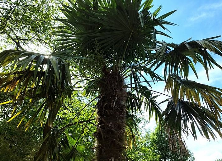Waterval bij Huisje in Woudenberg, vakantiehuis in de Utrechtse Heuvelrug, Utrecht.